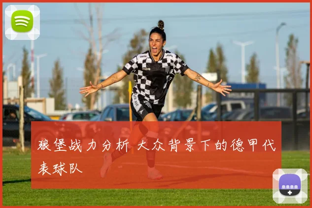狼堡战力分析 大众背景下的德甲代表球队
