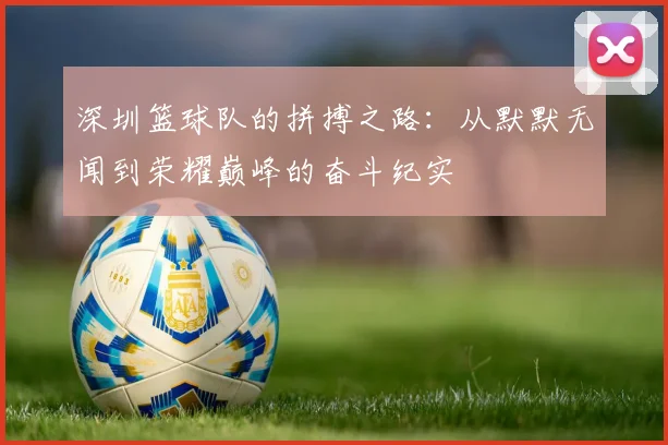 深圳篮球队的拼搏之路：从默默无闻到荣耀巅峰的奋斗纪实